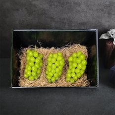 [SSG상품권이벤트][9/2순차출고][자연맛남] 시그니처 샤인머스켓 선물세트 2.3kg (3수)