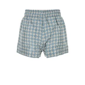 Shorts AWSHCA1016 DUSTYBLUE 2930293