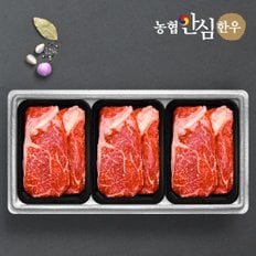 [1/13(월)이후 순차출고][냉장][농협안심한우] 등심 500g x 3팩 /총1.5kg