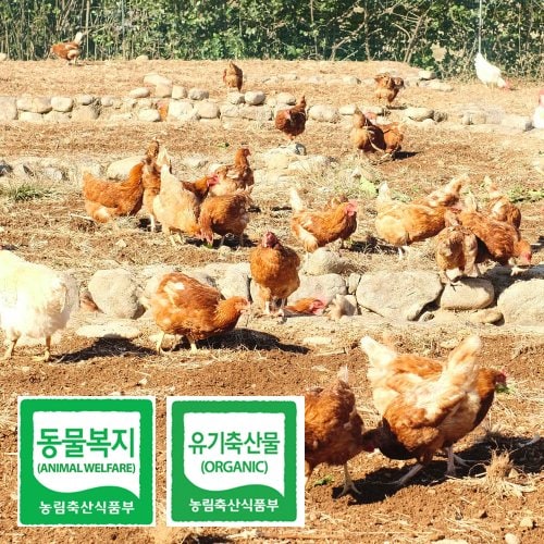 상품이미지2