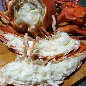 항공 수입 활 랍스타 랍스터 1미 500g