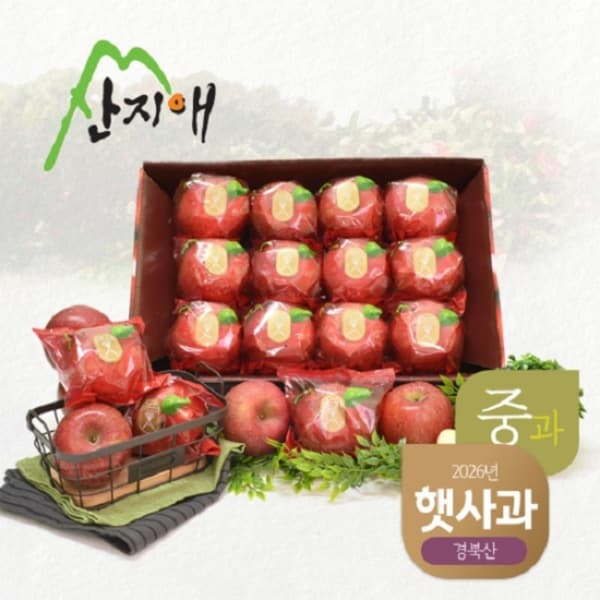 확대된 대표 이미지 P