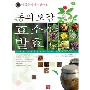 동의보감 효소 발효