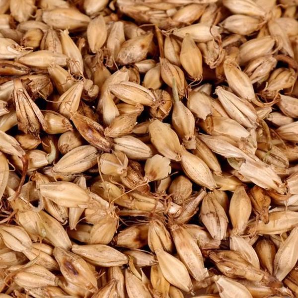 [신선약초] 국산 맥아 600g / 볶은 맥아,보리 (S10455905)