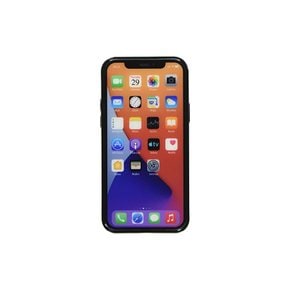 구르망디즈 포켓몬스터- iPhone12/12 Pro 6.1인치 대응 소프트 케이스