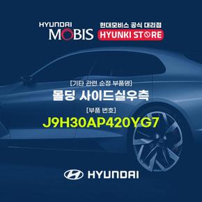 현대모비스몰딩 사이드실우측 (J9H30AP420YG7)