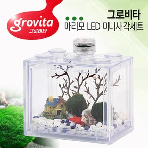 그로비타 마리모 LED 미니사각세트-투명/마리모키우기