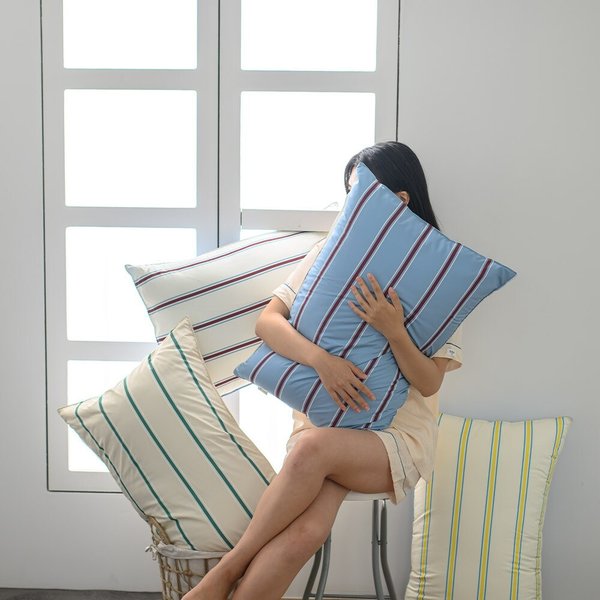 더블리 블랑빈티지 M2 알러지케어 베개세트 SS