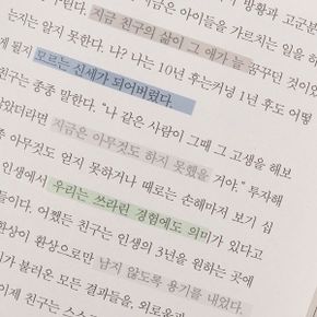 툴러 독서용 스모키 미니 플래그