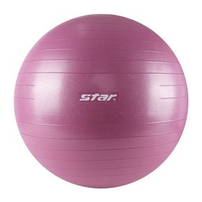 짐볼 안티버스트(EBF017) 65cm 바이올렛