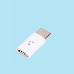 USB 3.1 C타입 젠더 Micro 5P to C Type