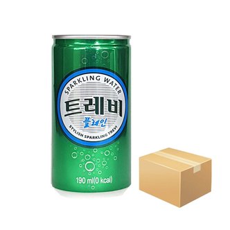  롯데 트레비 플레인 190ml X 30캔