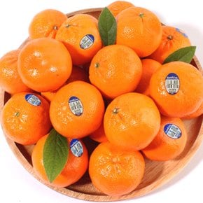 [자연속애] 썬키스트 고당도 만다린(귤) 1kg