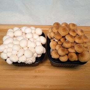 국내산 샤브샤브용 야채모둠세트(육수포함)1kg 쌈야채 버섯전골 청경채 표고버섯