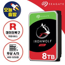 8TB Ironwolf ST8000VN004 NAS HDD HDD NAS 하드디스크 ST8000VN002 +신모델 발송+