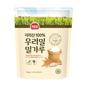 [푸른들마켓][해표] 우리밀밀가루750g