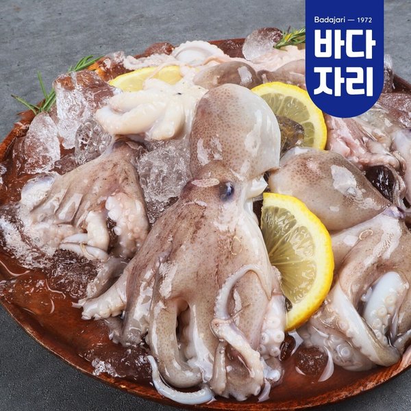 이미지 P