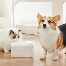 【해외직구】 샤오미 미지아 스마트 무선 반려동물 급수기 XWWF02MG 고양이 강아지 정수기 3L