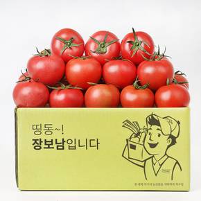 토마토 완숙 찰토마토 3kg(5번/소과)