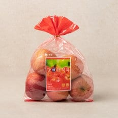  당찬 사과 1.3kg (4~7입) 봉