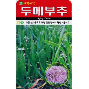 두메부추 씨앗 100립 산부추 두메부추씨