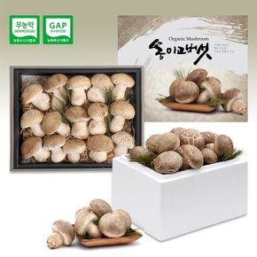 산지직송 쫄깃쫄깃 향긋한 국내산 여주 못난이 송이고버섯 1kg 당일수확 플레이버
