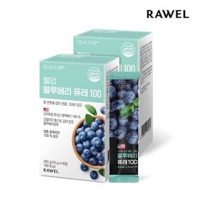 로엘 웰업 블루베리 퓨레 100 껍질까지 통으로 갈아 만든 블루베리퓨레 (20g x 14포) 2박스