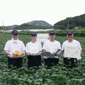 서리태콩물두유 모음전 (기본/달콤)