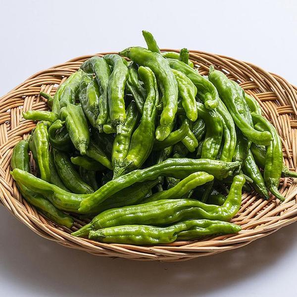 확대된 대표 싱싱 국산 꽈리 고추 500g 진주고추 풋고추 생고추 청고추 반찬 거리(1)