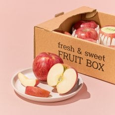  저탄소 사과(부사) 8~10입(2.5kg)/박스