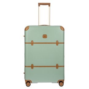 NEW 벨라지오 캐리어 30인치 (76cm) 유칼립투스 (BR-BBG38304.336)
