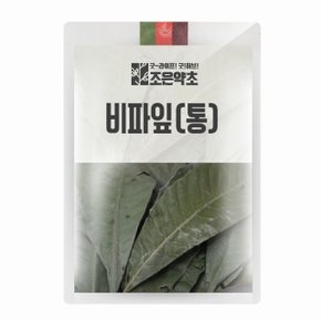 비파잎 통 150g