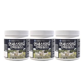 연세생활건강 연세 산양유 단백질 플러스 200g x 3병