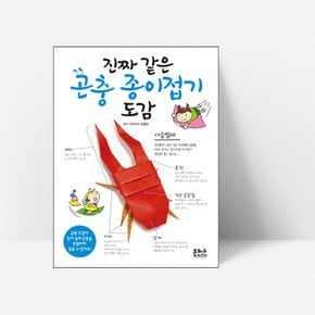 진짜 같은 곤충 종이접기 도감_은하수