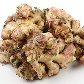 흙생강 특품 500g