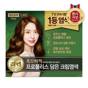 리엔 흑모비책 프로폴리스 염색약 480g 밝은갈색 x 1개