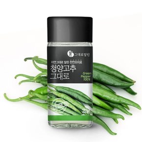 청양고추 감칠맛 만능조미료 고춧가루(22g)