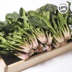 농부마음 남해 보물초 시금치 4kg