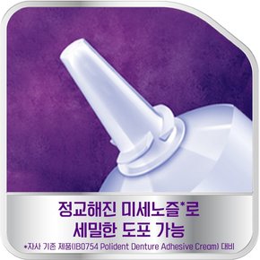 맥스 씰 의치 부착재 70g x5개