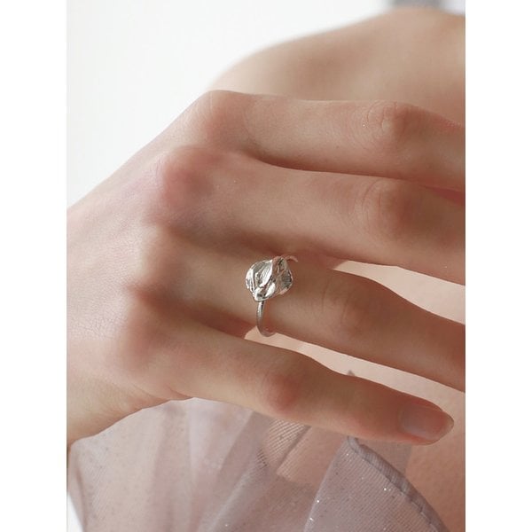 확대된 대표 Main Image