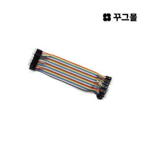 40핀 점퍼와이어-mm 10cm