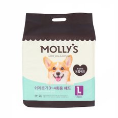 몰리스 3~4회용 패드 L 35매