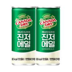 코카콜라 캐나다드라이 진저에일 250mL 60캔