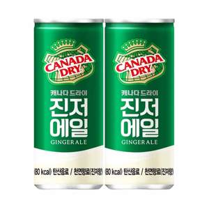  코카콜라 캐나다드라이 진저에일 250mL 60캔