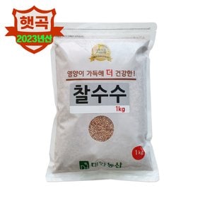 대한농산 국산 찰수수 1kg(1kgx1봉)