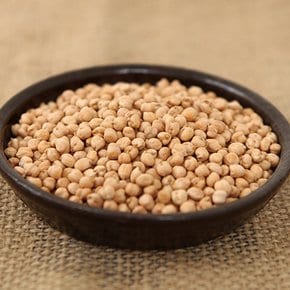 [2025년산] 캐나다산 병아리콩 1kg