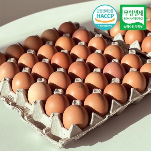 추가5이미지