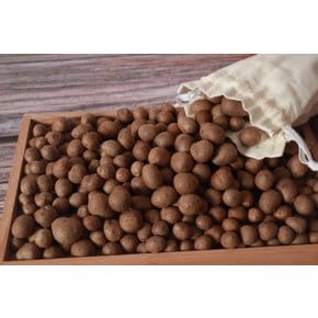 GAP인증 마씨 마씨앗 영여자 3kg