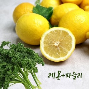 팸쿡 가락시장직송 레몬파슬리주스(레몬5과+파슬리300g)