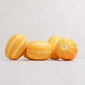 [오늘신선] 달콤한 과즙이 듬뿍 성주참외 가정용 소과 실중량 2kg 7-17과 내외